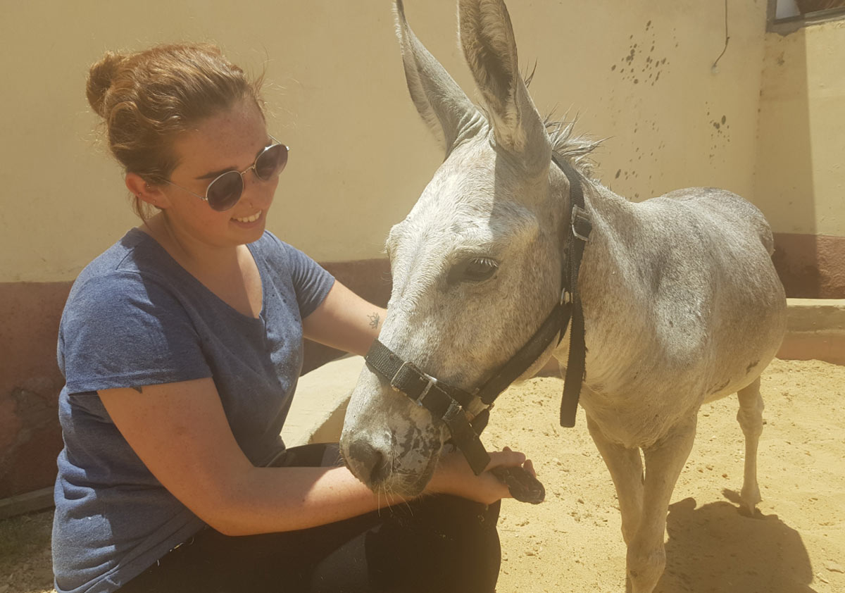 veterinary nursing 2